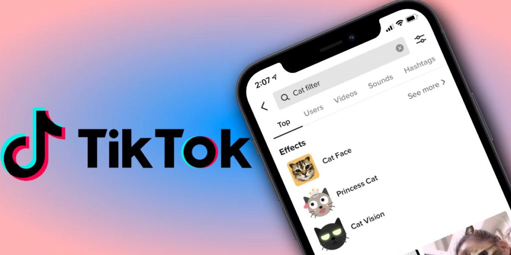 TikTok Search